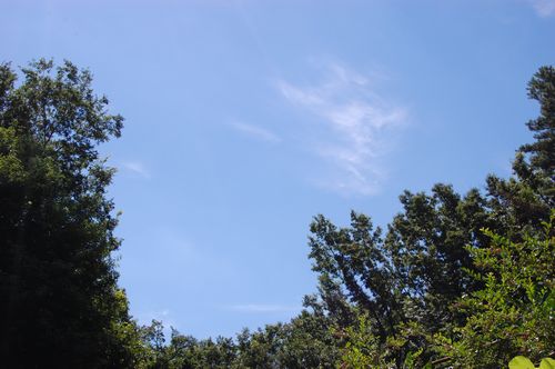 夏の青空.JPG