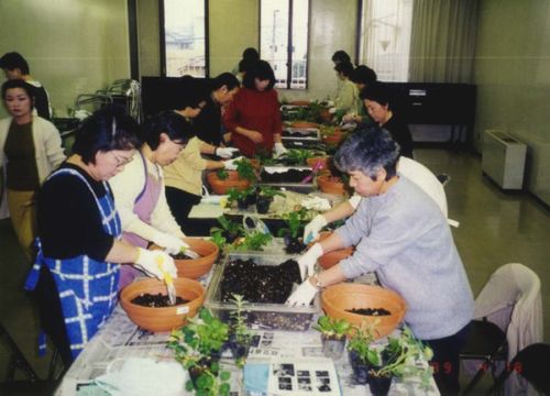 1999.4　キッチンハーブの寄せ植え.JPG