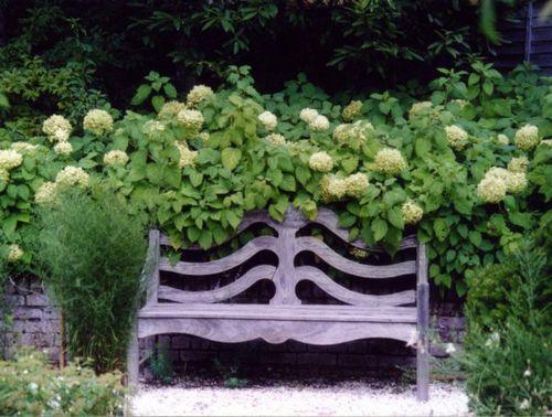 barakura bench.JPG