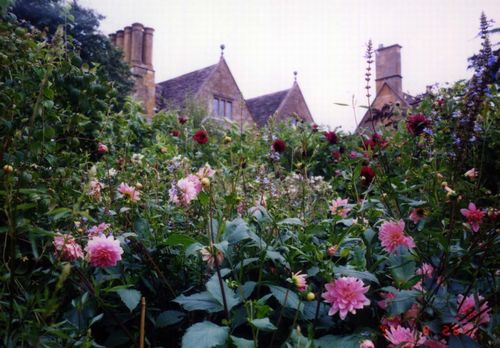 hidcote manor garden1.JPG